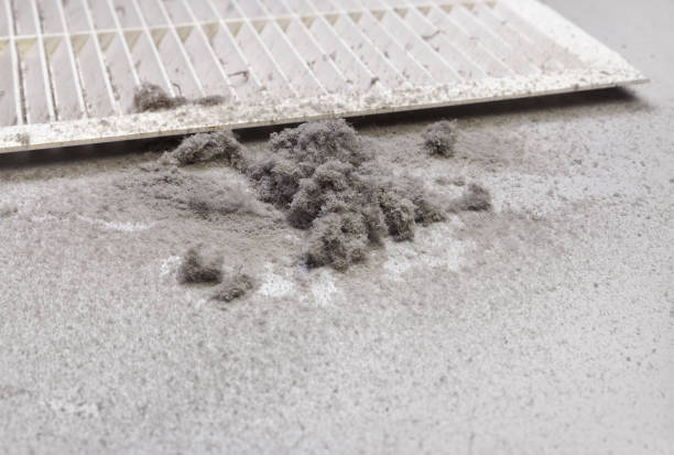 Best Air Vent Cleaning Services  in Lake Lorraine, FL