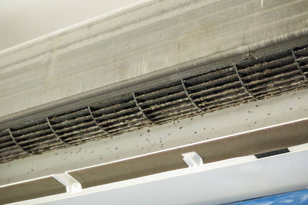 Best Duct Cleaning Specialists  in Lake Lorraine, FL